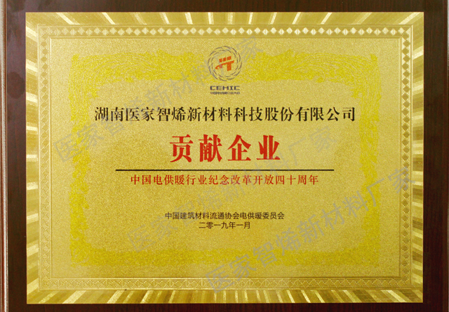 中国电供暖行业贡献奖